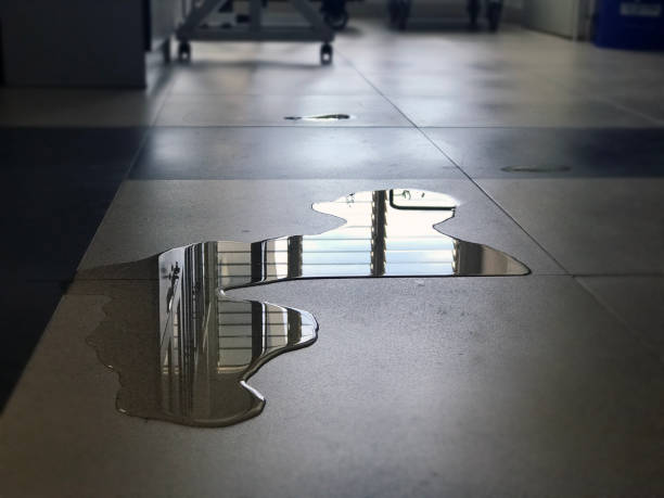 Best Local water damage restoration  in Bronxville, NY