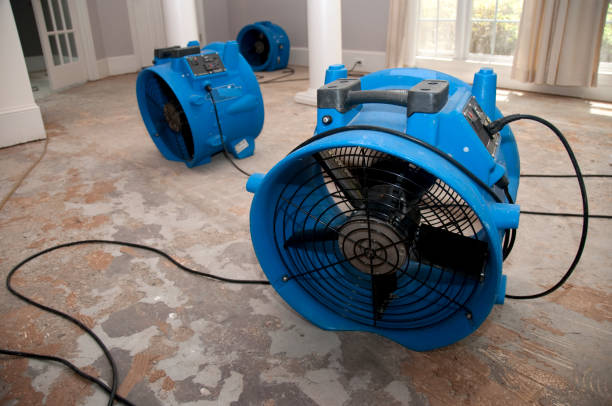 Best Flood damage cleanup  in Bronxville, NY